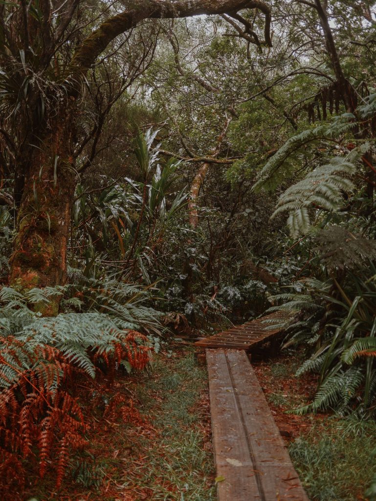 La Réunion: 10 activités incontournables pour un premier voyage 100 Belouve-la-reunion