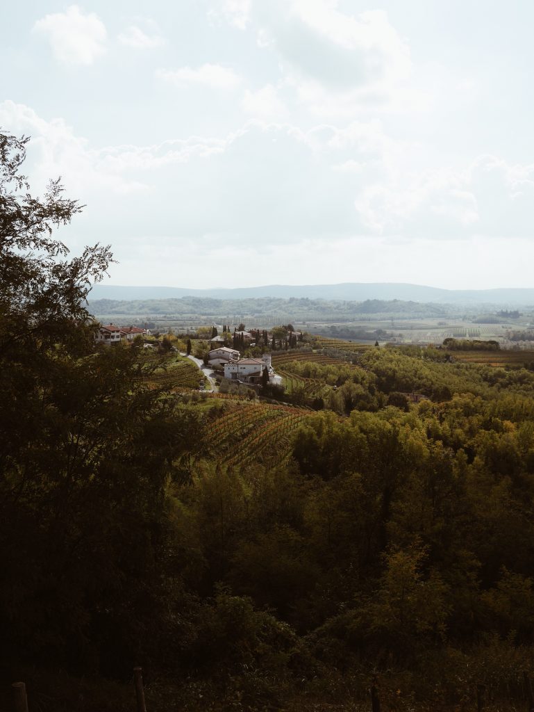 Slovénie en roadtrip: itinéraire d'une semaine et adresses coup de coeur 57 Goriska-Brda-Slovenia