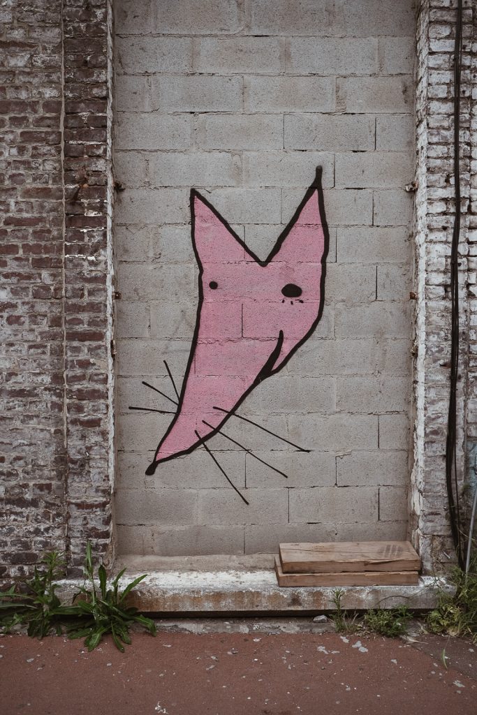 Découvrir Lille à travers 5 endroits insolites 48 roubaix-lille-graffiti