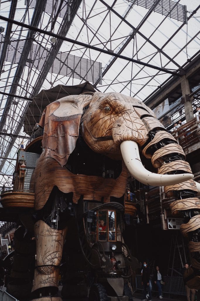 morgane-schaller-nantes-elephant