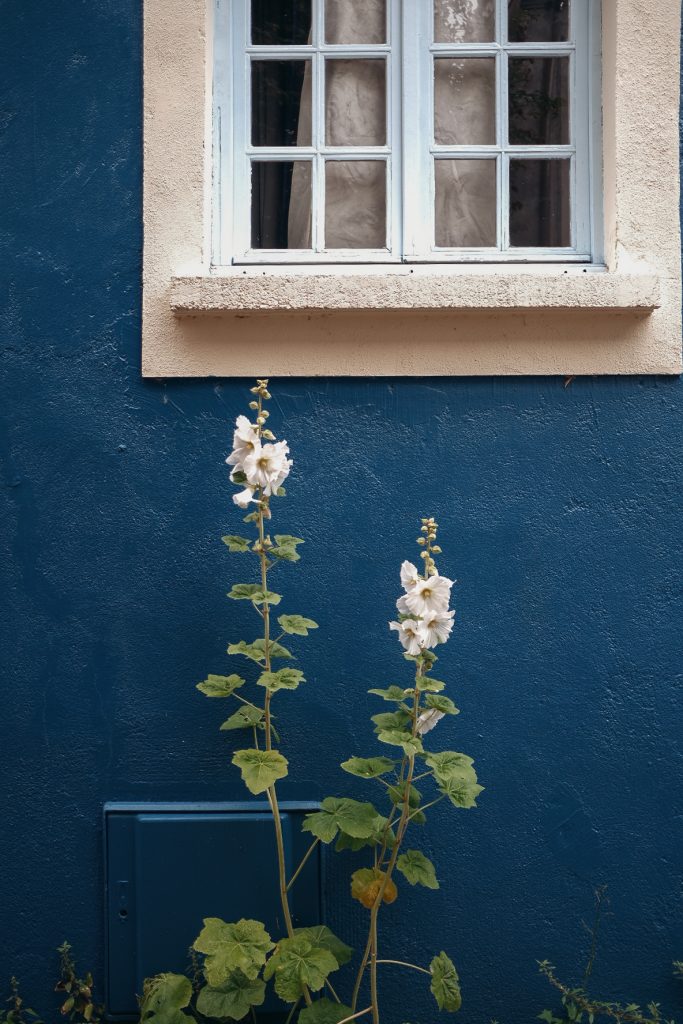 morgane-schaller-nantes-trentemoult-maison-coloree