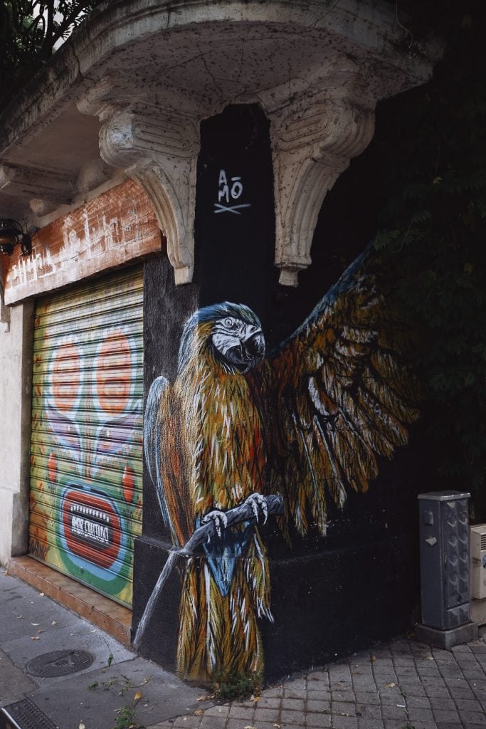2 jours à Bordeaux : mon guide des incontournables 48 morgane-schaller-bordeaux-street-art